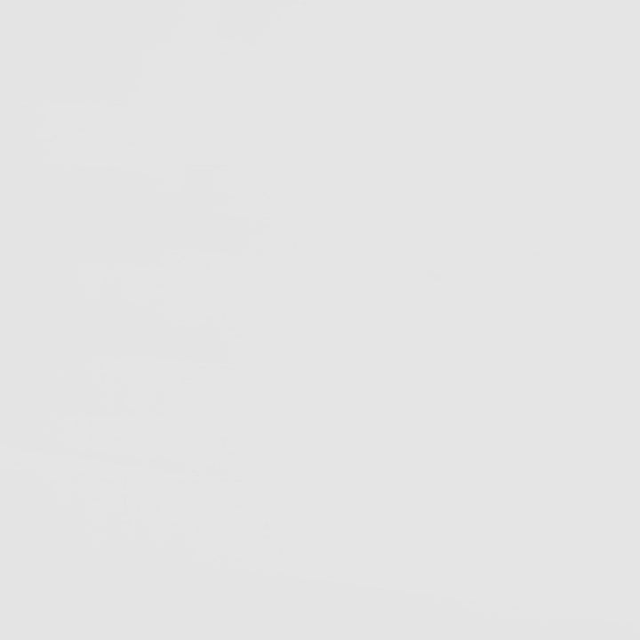 Coaster Furniture 460510 Wyatt Wood Twin Over Twin Bunk Bed White and Natural