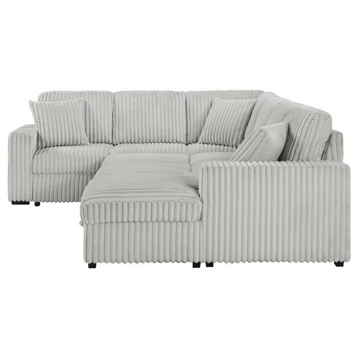 Coaster Furniture 501208 Devonshire Sleeper Sectional Sofa Storage Chaise Grey