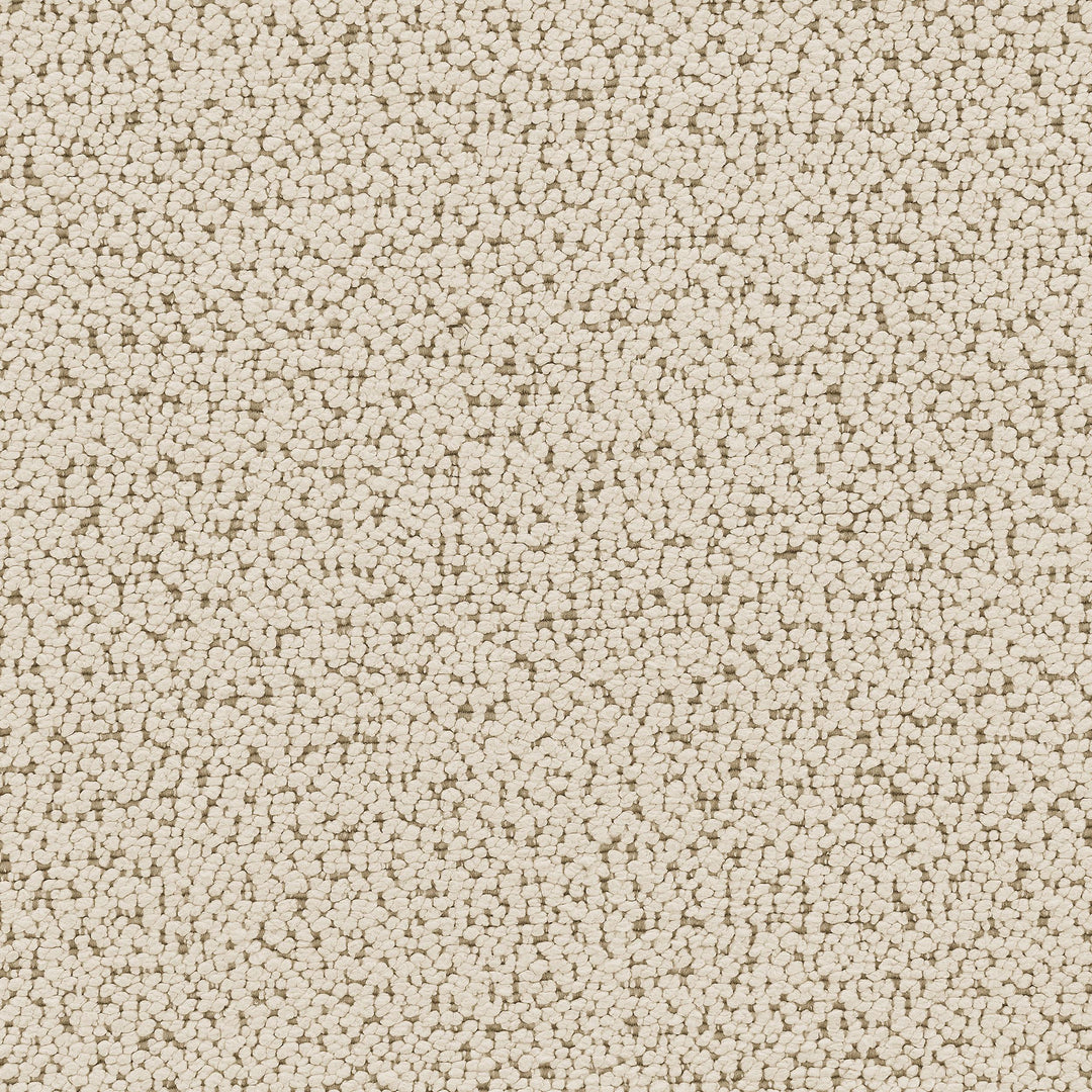 Coaster Furniture 503999 Winchester Boucle Upholstered Chair and a Half Sand Pebble