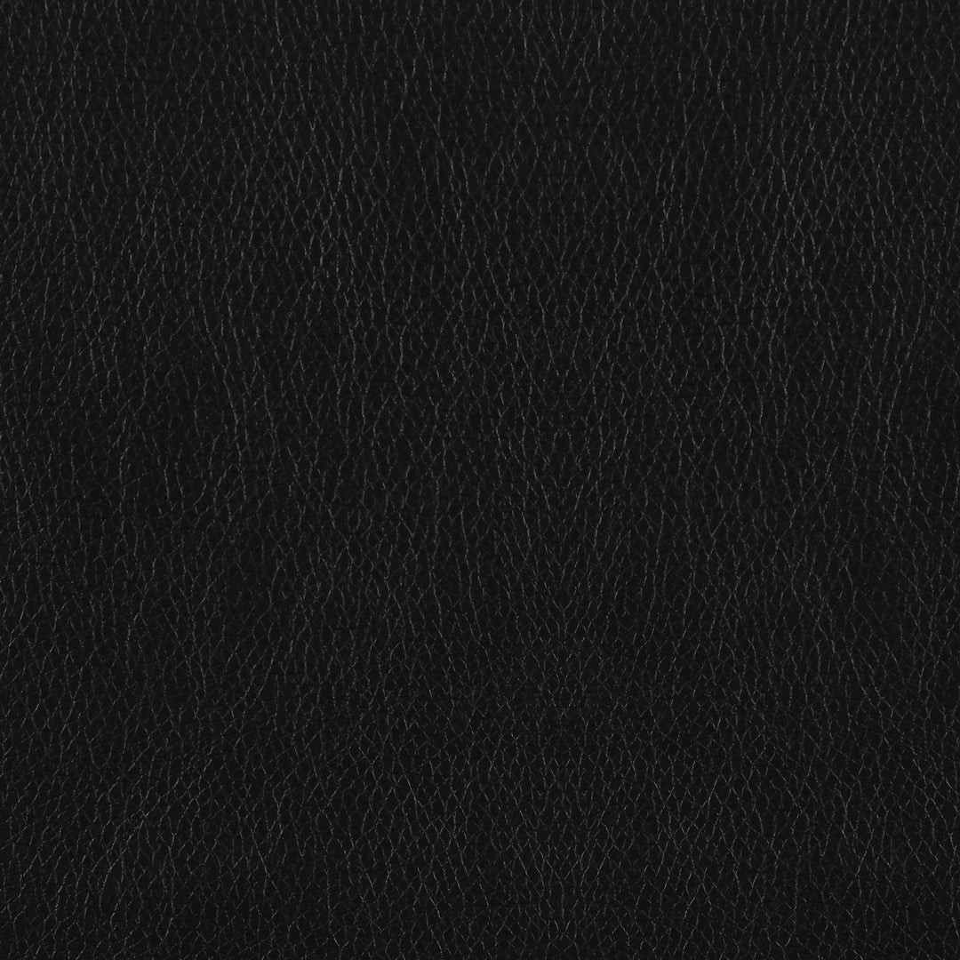 Coaster Furniture 506552 Finley Upholstered Padded Arm Tufted Loveseat Black