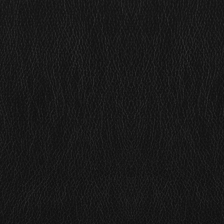 Coaster Furniture 506552 Finley Upholstered Padded Arm Tufted Loveseat Black