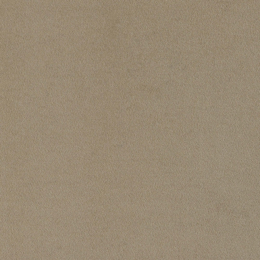 Coaster Furniture 509171 Rainn Boucle Upholstered Sloped Arm Sofa Latte