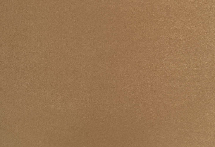 ACME Bernadette Side Chair (Set of 2)