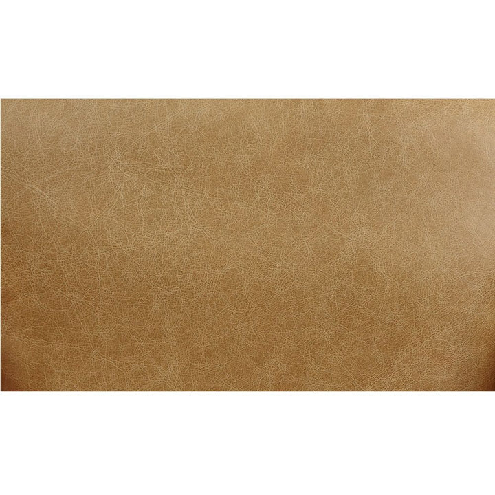 Pippin - Accent Chair - Morocco Top Grain Leather