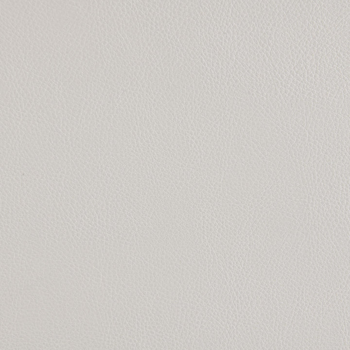 Coaster Furniture 600497P Sanger Upholstered Power Lift Massage Recliner Champagne