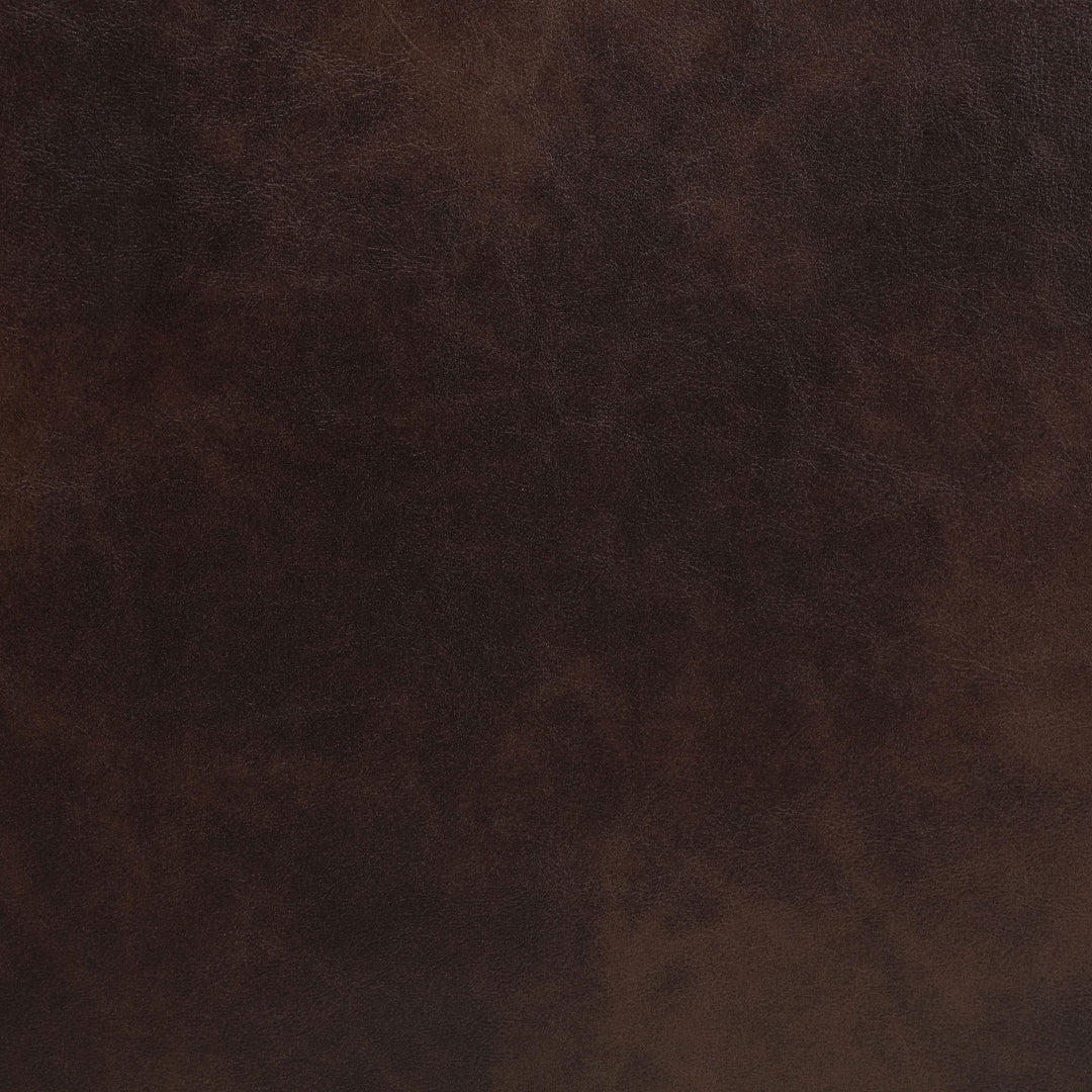 Coaster Furniture 610193P Sycamore Upholstered Power Recliner Chair Dark Brown