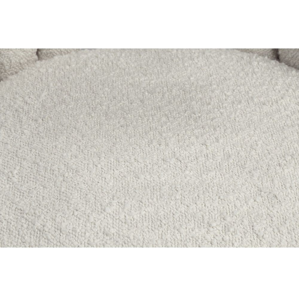 Fadri - Side Chair Set of 2) - Teddy Sherpa & Mirrored Gold