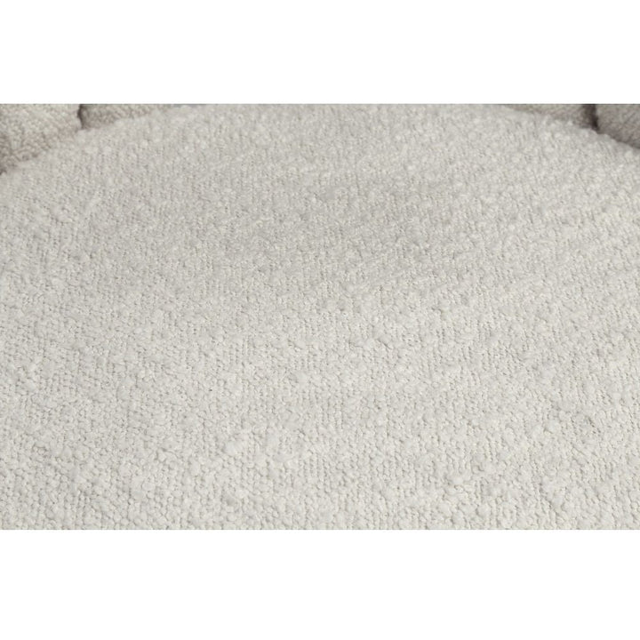 Fadri - Side Chair Set of 2) - Teddy Sherpa & Mirrored Gold