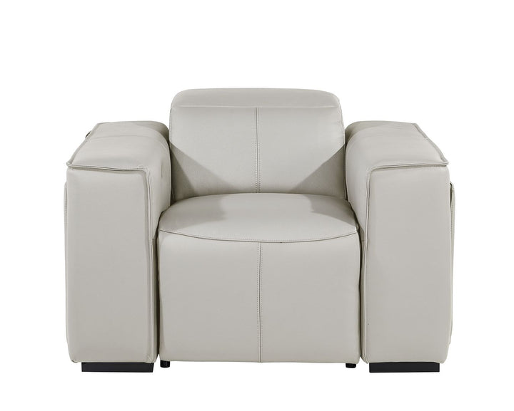 DivanItalia 1224 Top Grain Italian Leather Power Reclining Chair with Power Headrests - Light Gray