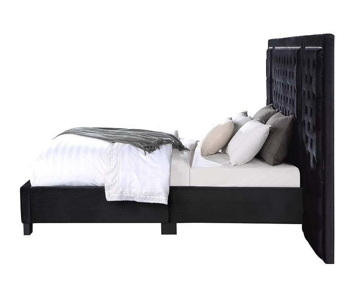 Damazy - Queen Bed - Black Velvet