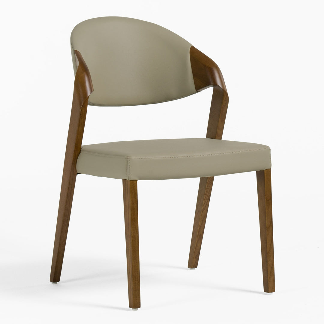 Arlo Mid-Century Beige & Walnut Dining Chair (Set of 2)