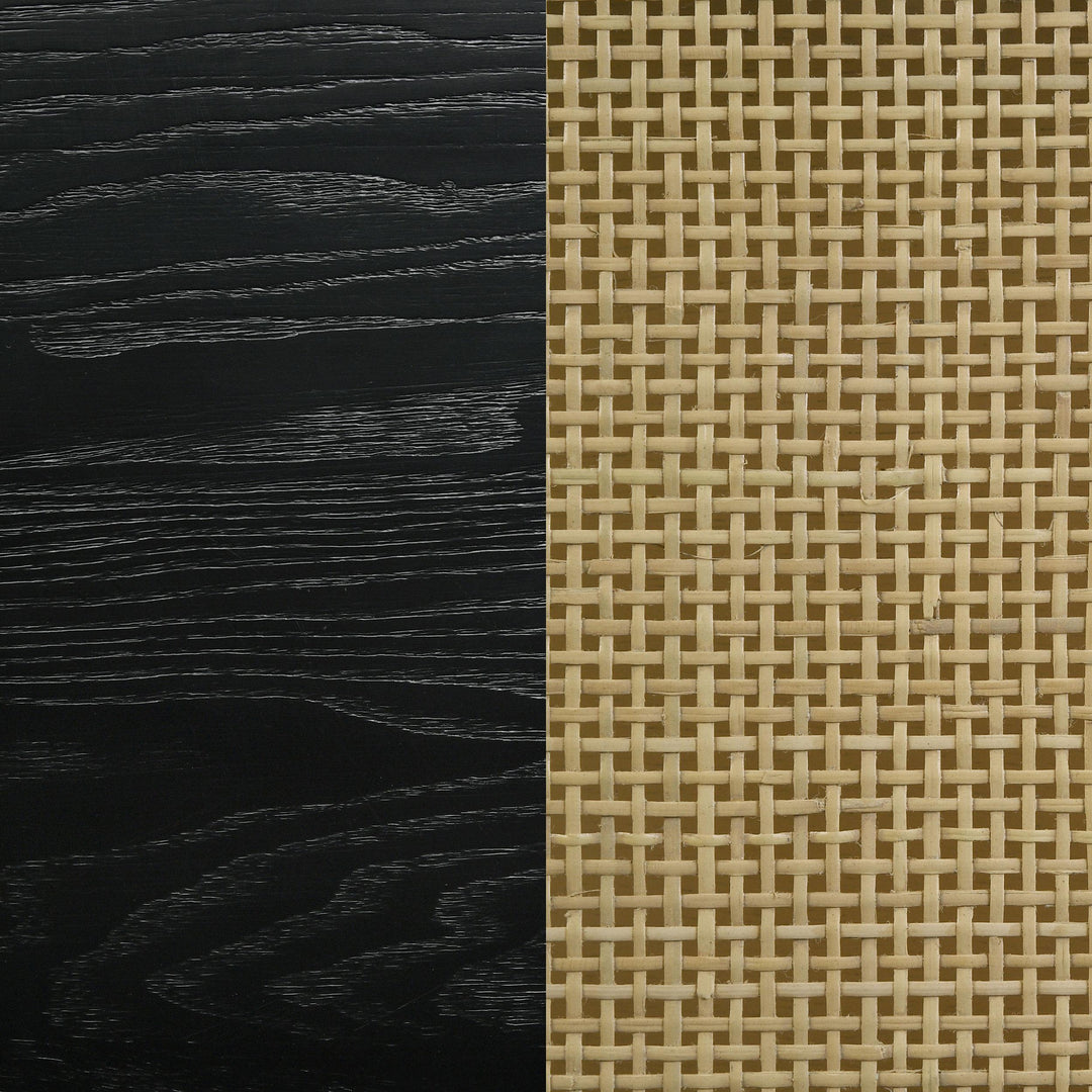 Coaster Furniture 720263 Arini Rattan Cane 2-door TV Stand Media Console Black