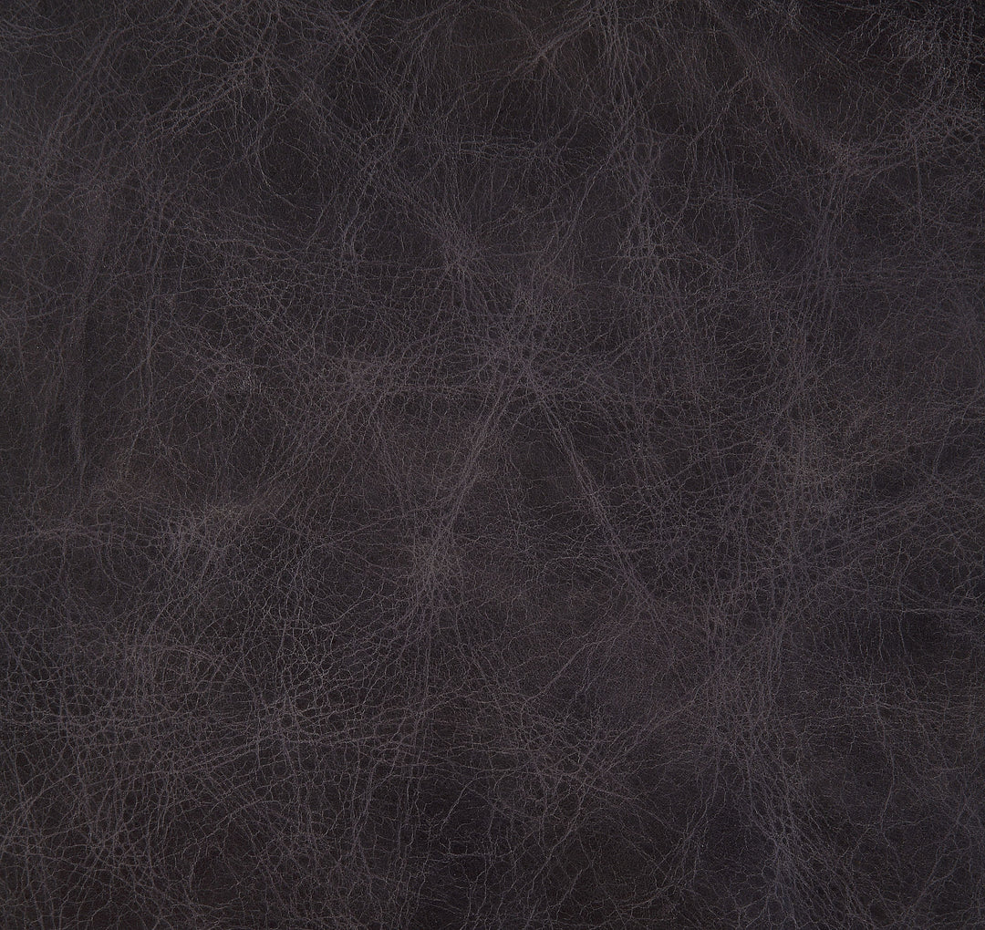 Dhalsim - Accent Chair - Antique Ebony Top Grain Leather