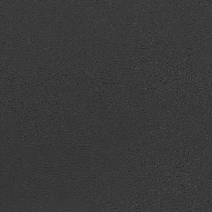 Coaster Furniture 800046 Roger Upholstered Adjustable Home Office Desk Chair Black