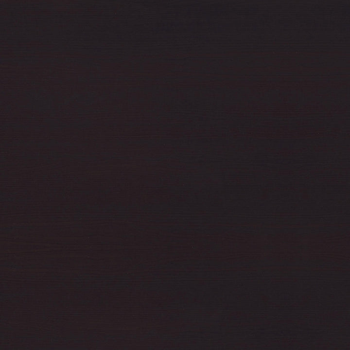 Coaster Furniture 800107 Tracy 55-inch 2-drawer Office Computer Desk Cappuccino