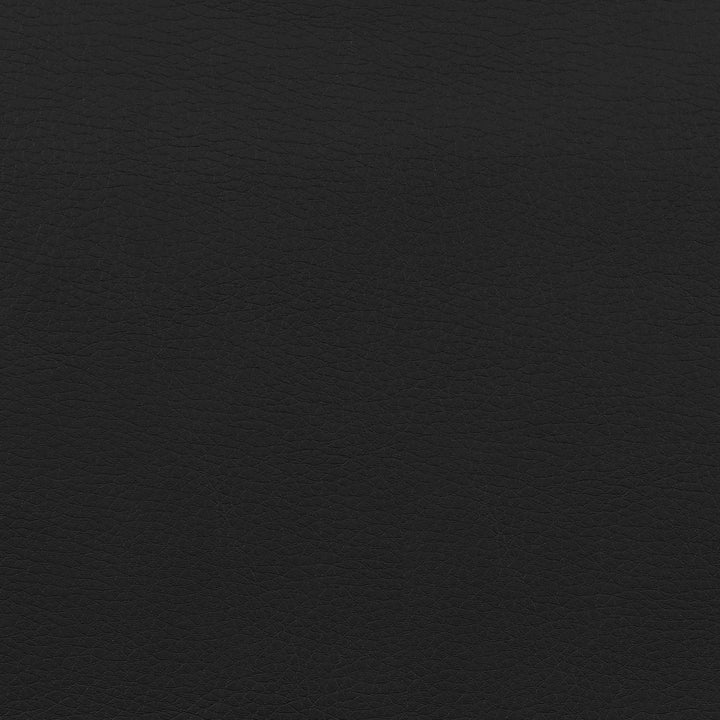 Coaster Furniture 800209 Dione Upholstered Adjustable Home Office Desk Chair Black