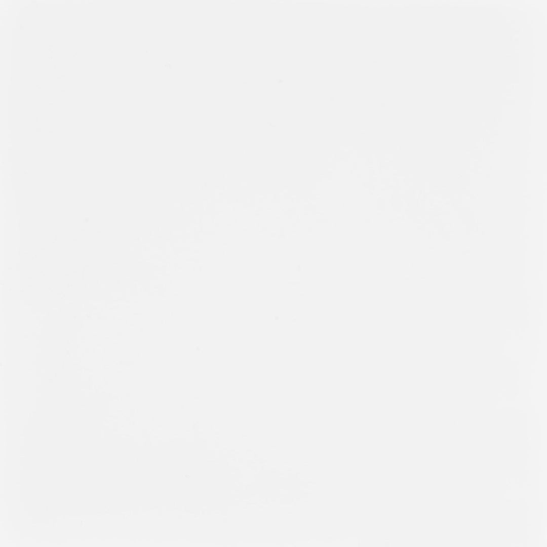 Coaster Furniture 803521 Lawtey 60-inch 2-drawer Computer Desk White High Gloss