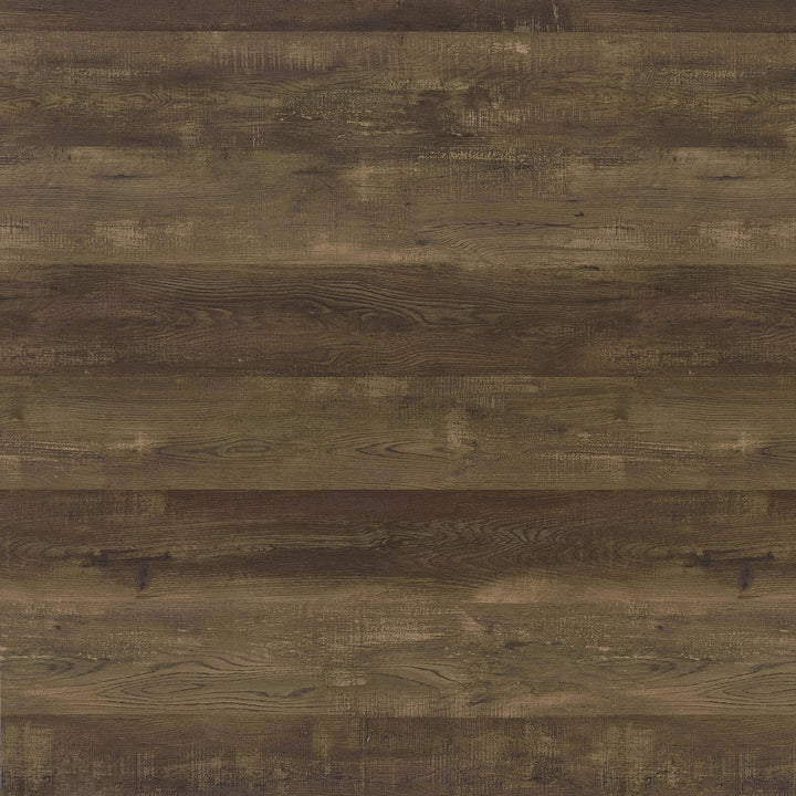 Coaster Furniture 804426 Elmcrest 24-inch 4-shelf Wall Bookshelf Rustic Oak