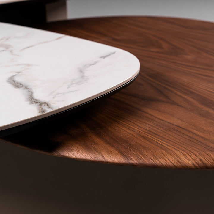 Robson  Modern Ceramic + Walnut Coffee Table