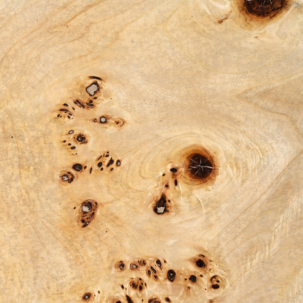 July - Modern Mapa Burl Round Coffee Table - View 3
