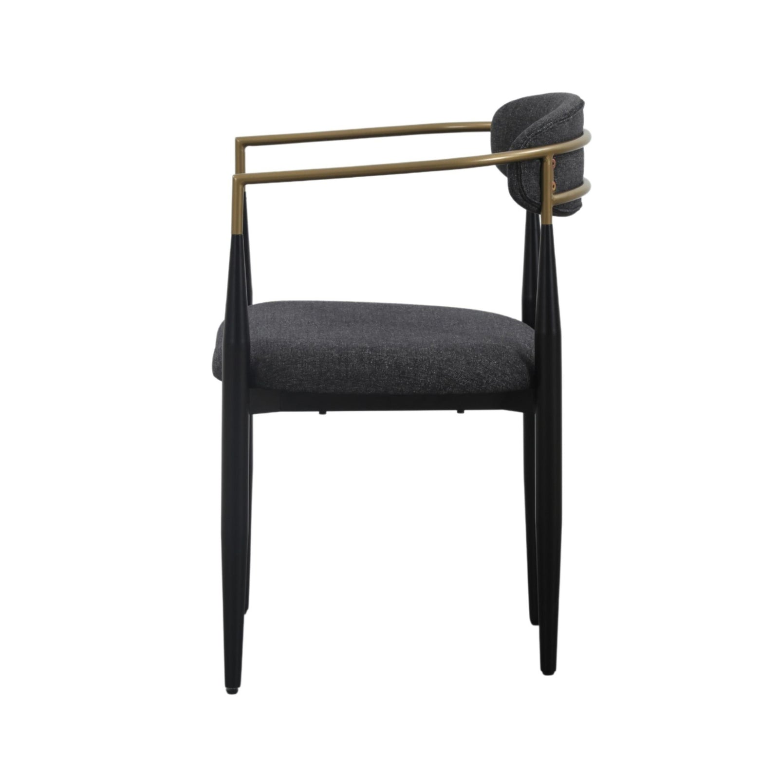 Buchtel - Mid-Century Modern Dark Grey  Gold Arm  Black Dining Chair
