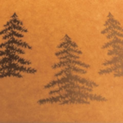 Derek - Poly Table Lamp (Set of 2) - Brown