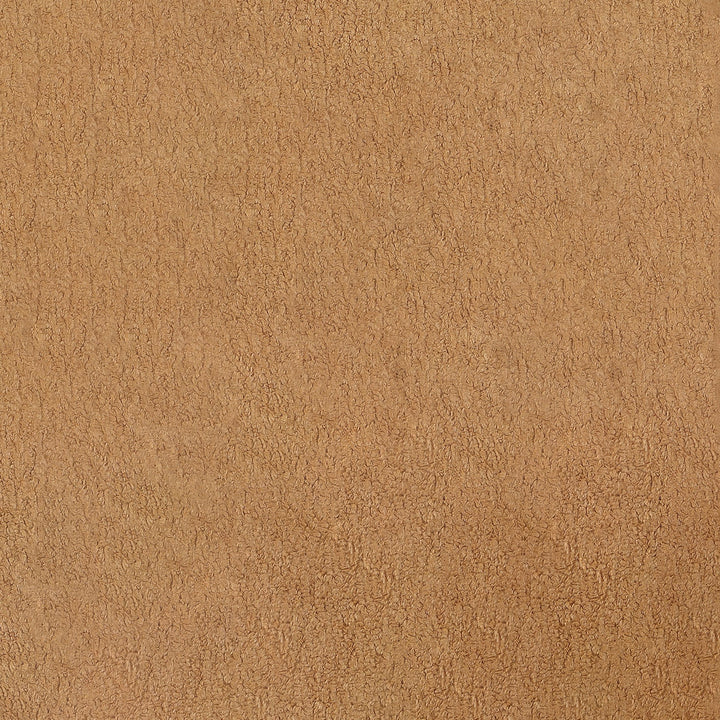 Coaster Furniture 902268 Diego Upholstered Accent Arm Chair with Wood Arms Honey