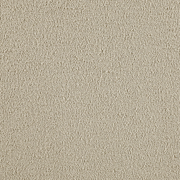 Coaster Furniture 902453 Serra Boucle Upholstered Swivel Glider Recliner Sandy Beige