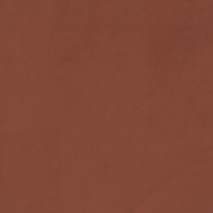 Coaster Furniture 903150 Liana Upholstered Roll Arm Accent Armchair Rust Orange