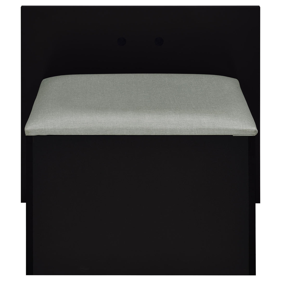 Coaster Furniture 930219 Flora 2-drawer Vanity Set with LED Mirror Black High Gloss