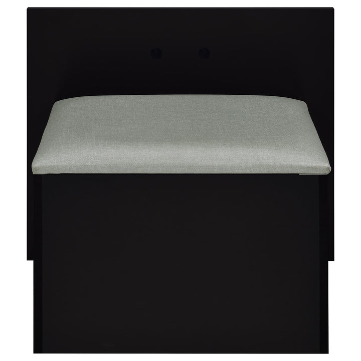 Coaster Furniture 930219 Flora 2-drawer Vanity Set with LED Mirror Black High Gloss