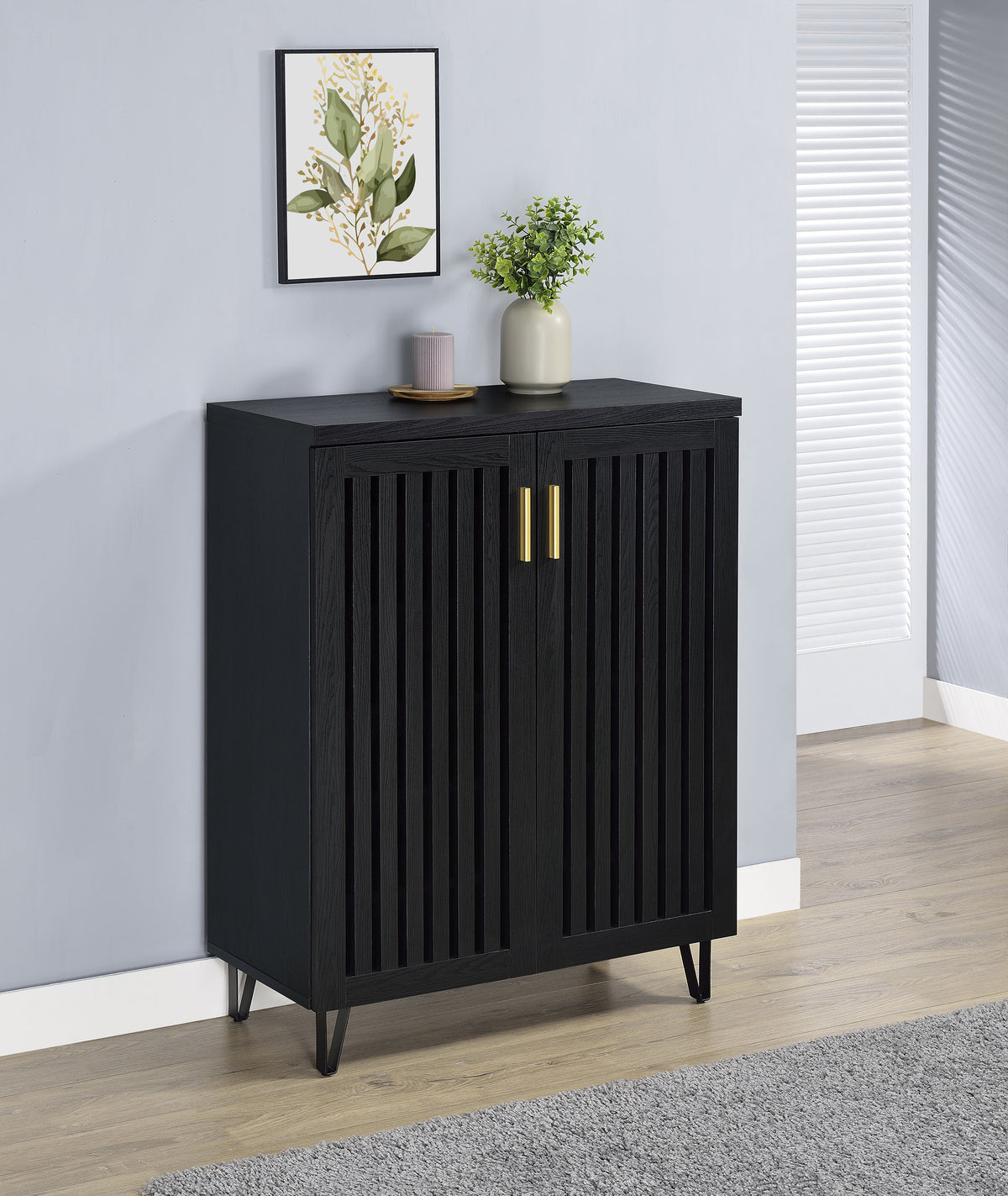 Brixton - 2-Door Entryway Shoe Storage Cabinets - Black