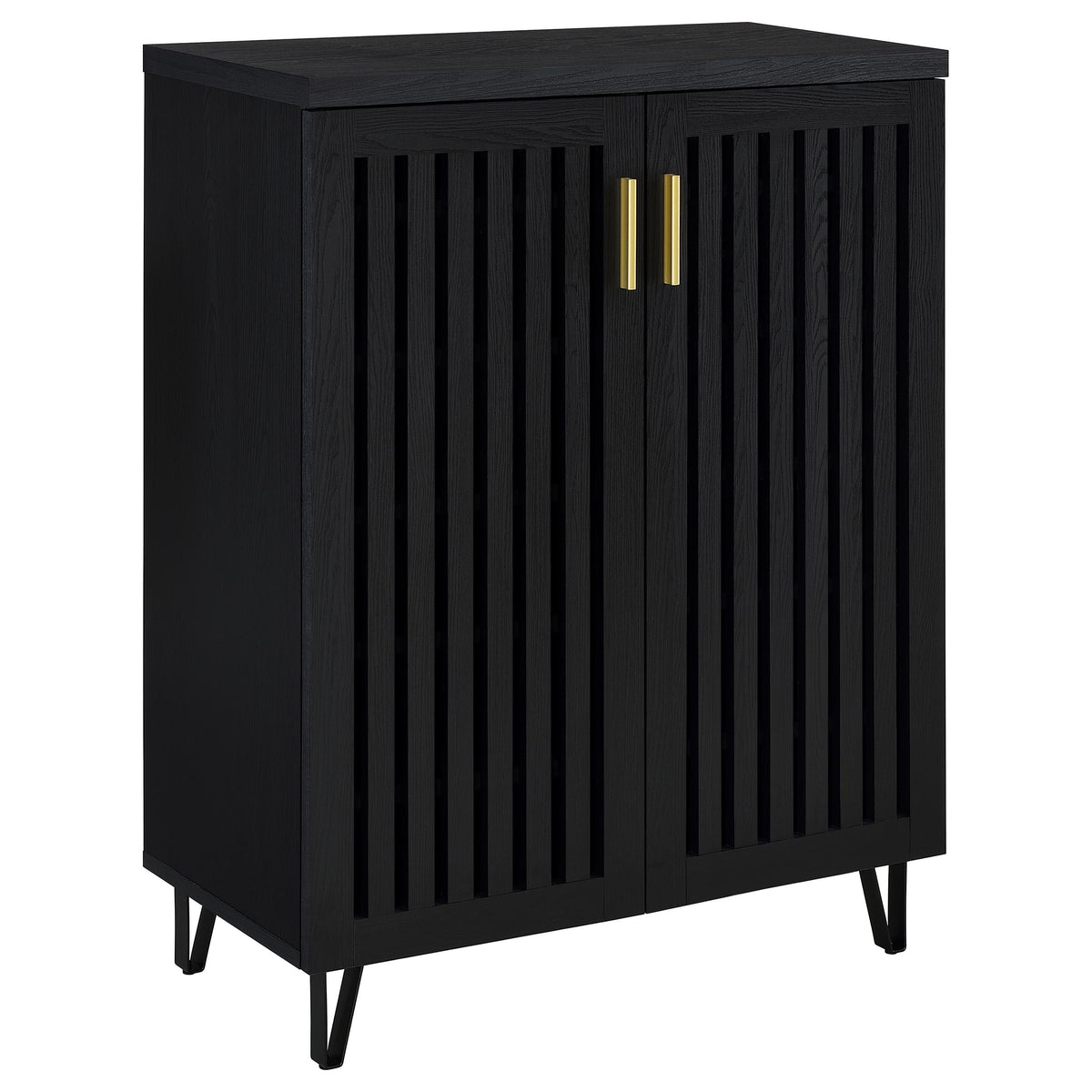 Brixton - 2-Door Entryway Shoe Storage Cabinets - Black