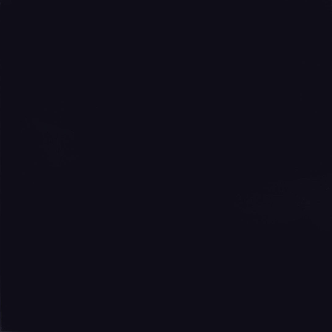 Coaster Furniture 950801 Cabot Wood Adjustable Full Length Cheval Mirror Black