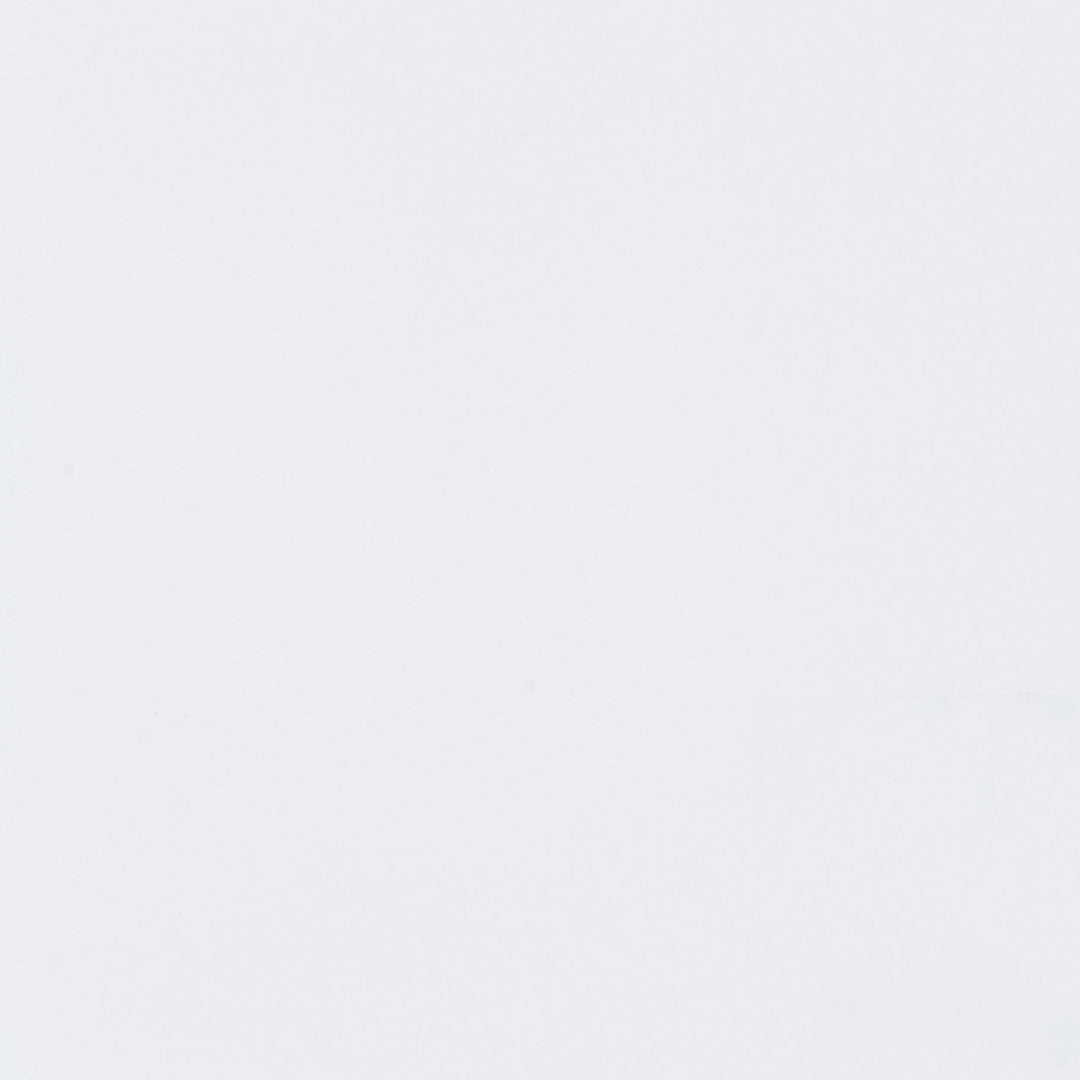 Coaster Furniture 950802 Foyet Wood Adjustable Full Length Cheval Mirror White