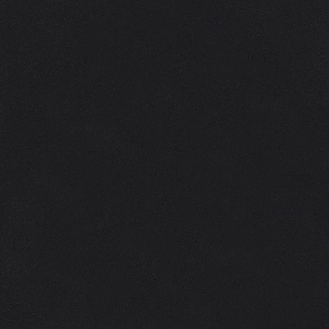 Coaster Furniture 960962 Windrose 28 x 67 Inch Tempered LED Standing Mirror Black