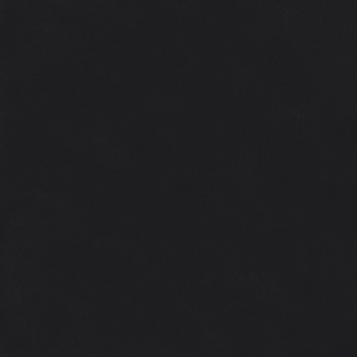 Coaster Furniture 960962 Windrose 28 x 67 Inch Tempered LED Standing Mirror Black