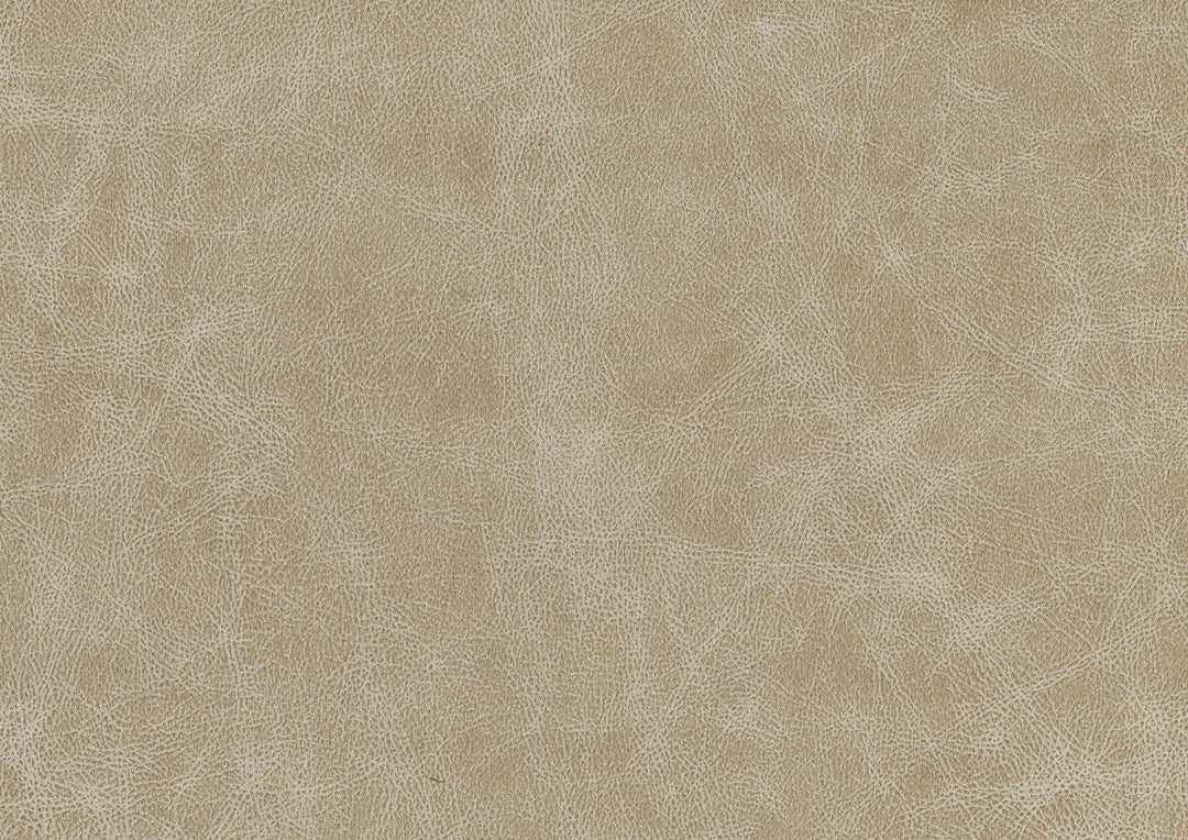 Cazon 77" Modern Sand Sofa