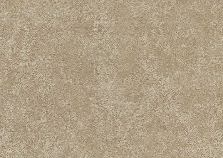 Cazon 77" Modern Sand Sofa