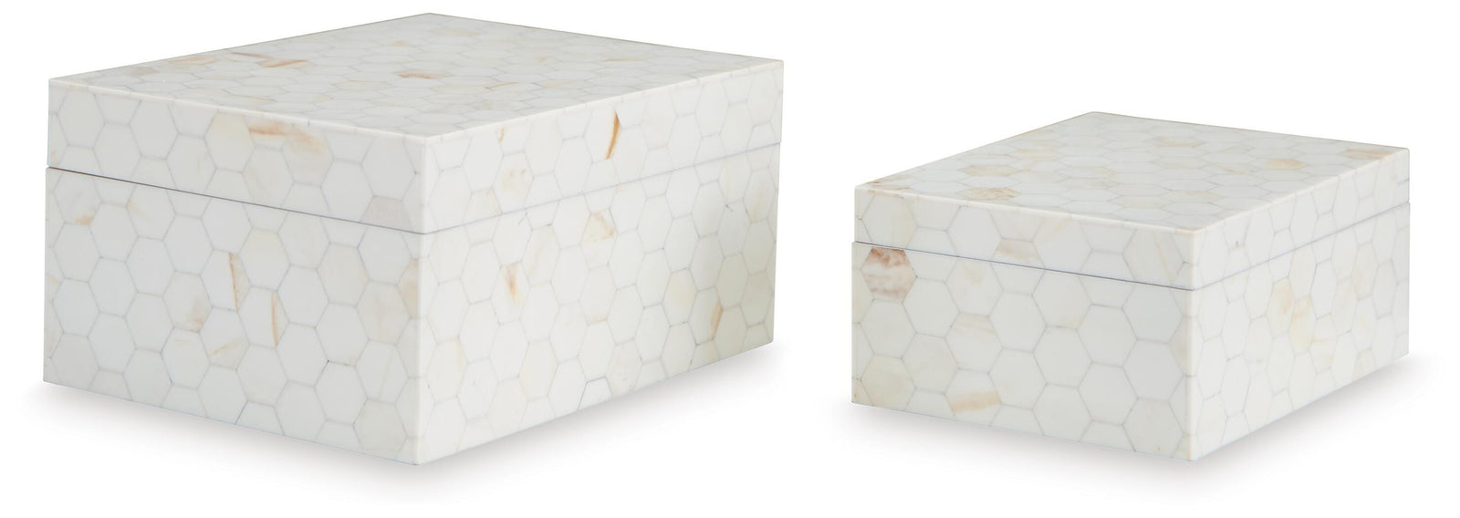 Aldenburg Box (Set of 2) - Beige (1)