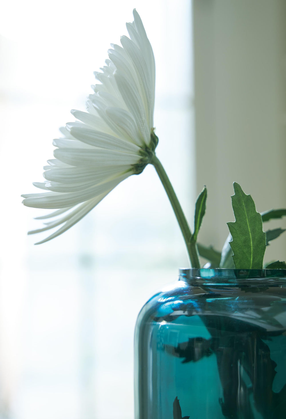 Inisland Vase - Teal (3)