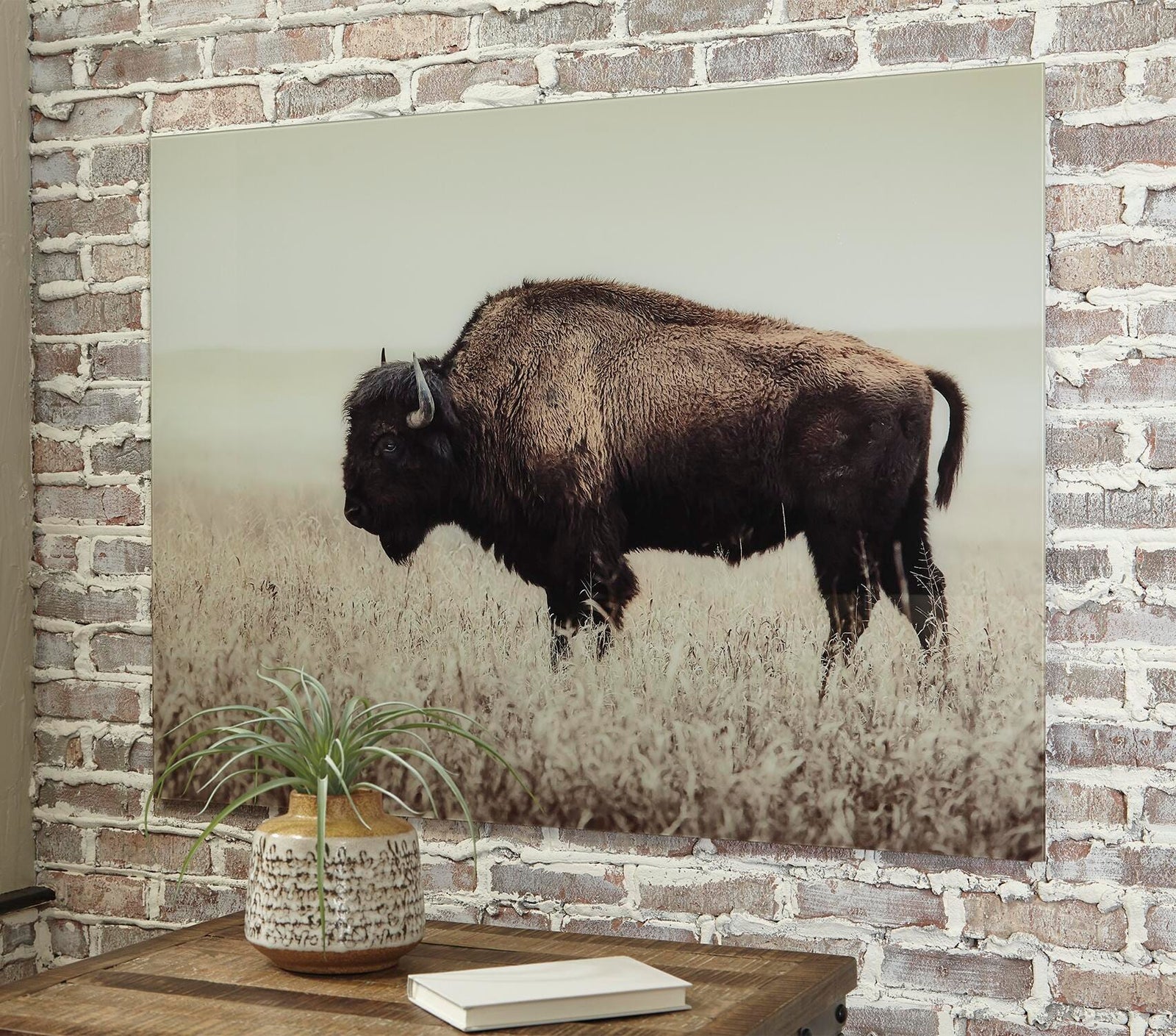 Brutus Wall Art (2)