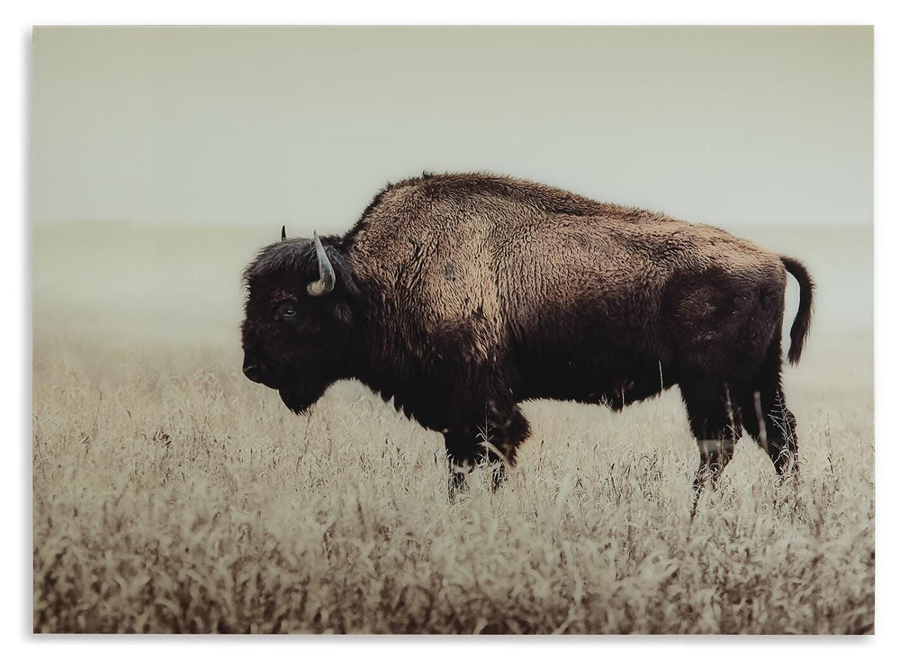 Brutus Wall Art (3)