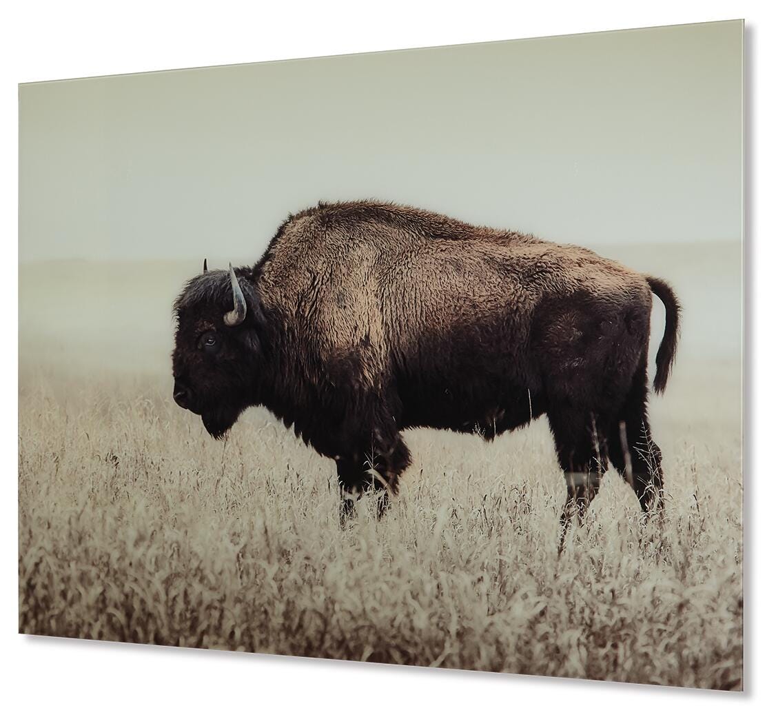 Brutus Wall Art (1)