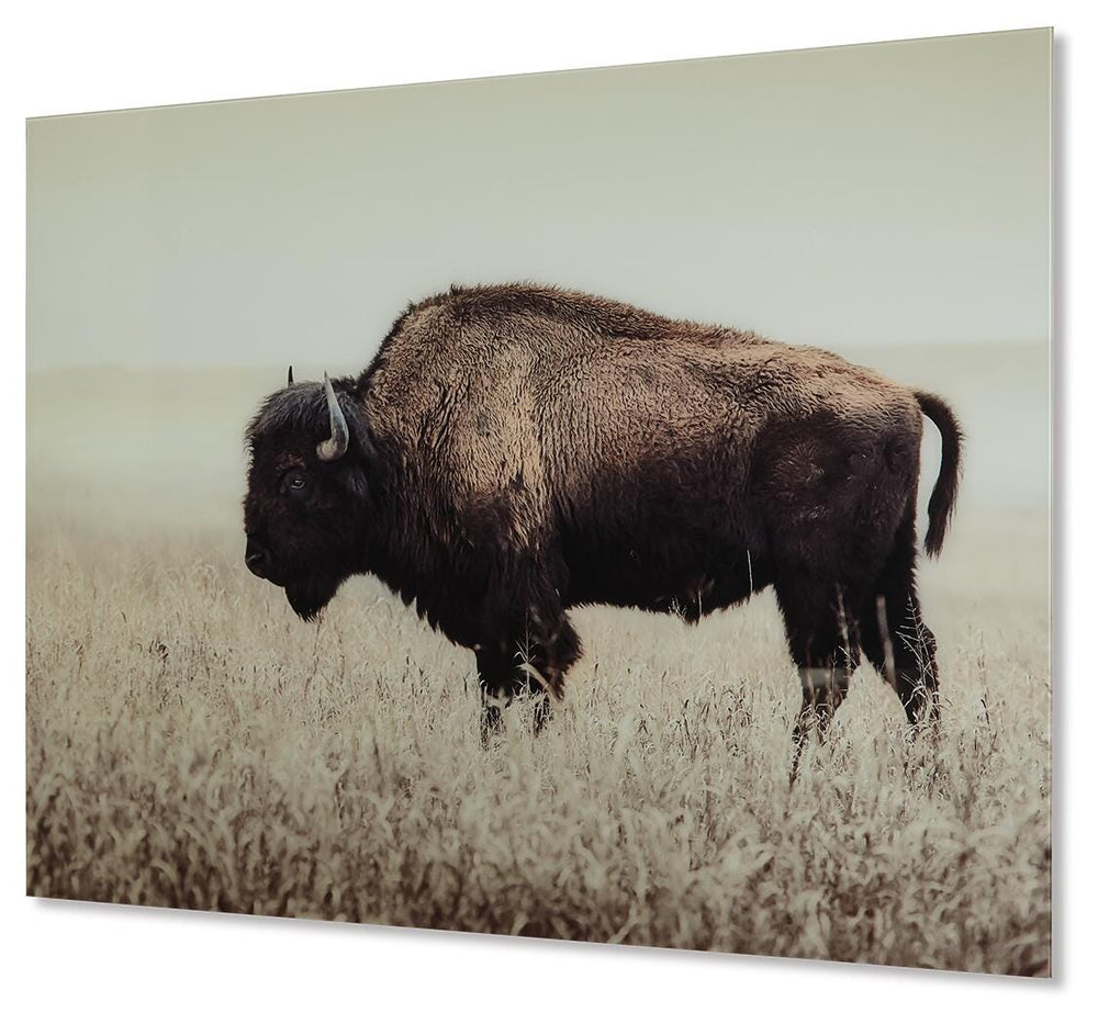 Brutus Wall Art (1)