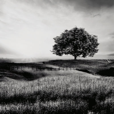 a8000341-ashley-furniture-deborland-wall-art