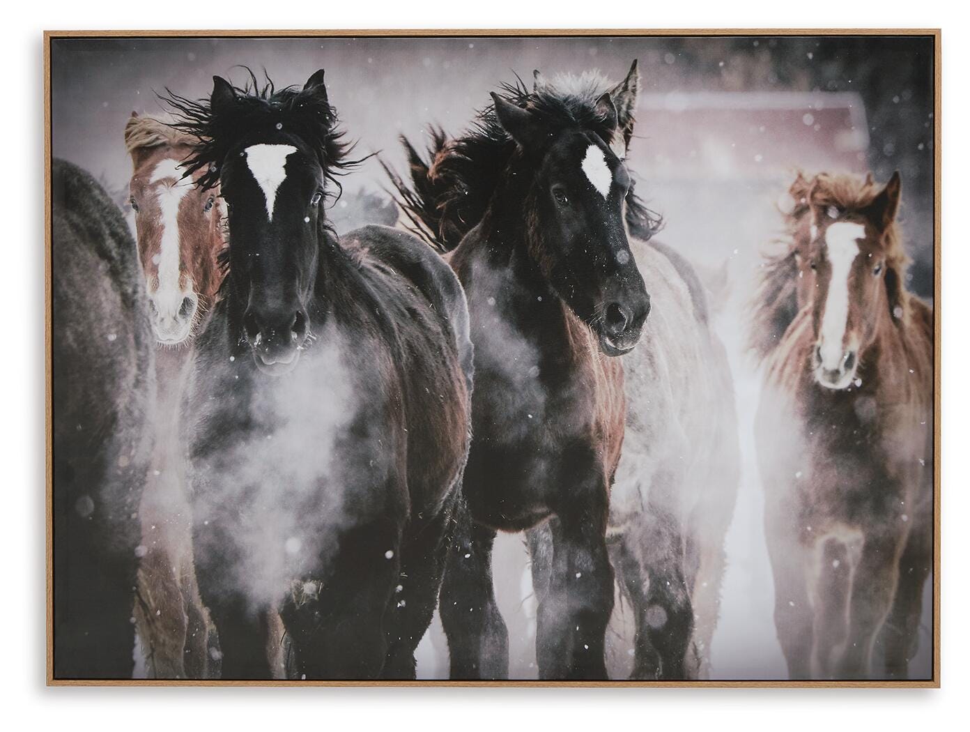 Chaseburn Wall Art - Black (1)