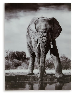 a8000421-ashley-furniture-glinyard-wall-art