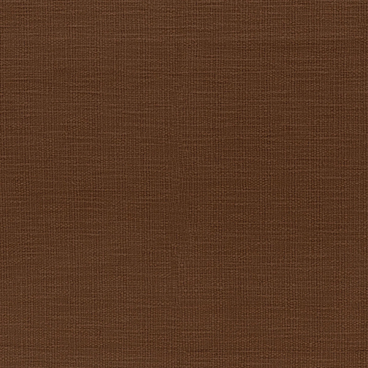 Canyon Sequoia