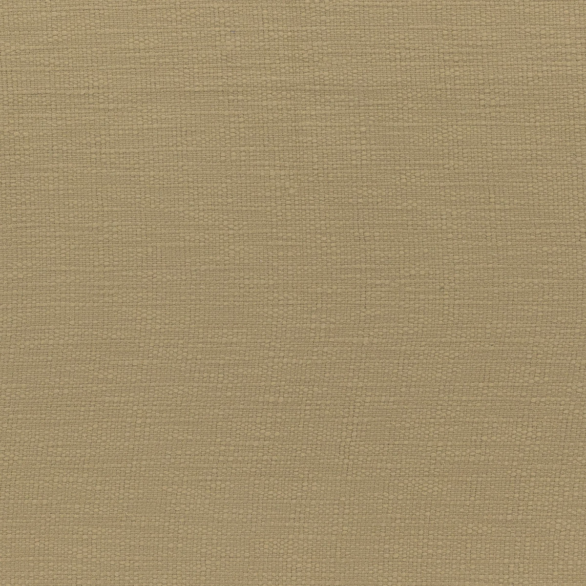 Canyon Wheat